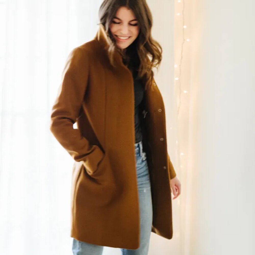 Aritzia Wilfred Cocoon Coat